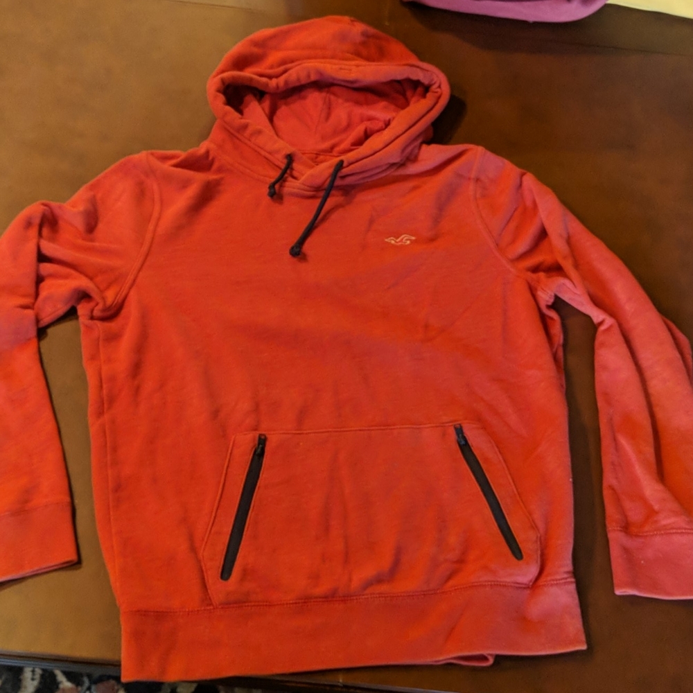Mens Hollister Hoodie